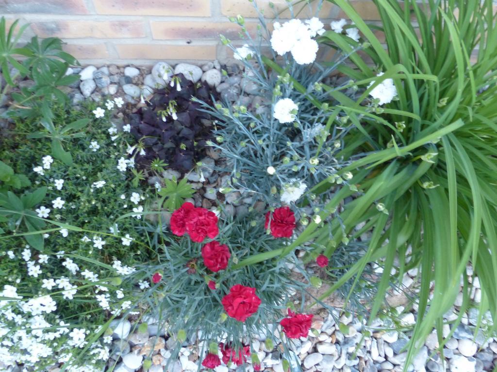 La Flore De Lys, Cottage Ideal Pour 2 Adultes Et 2 Enfants Saint-Jouin-Bruneval Room photo